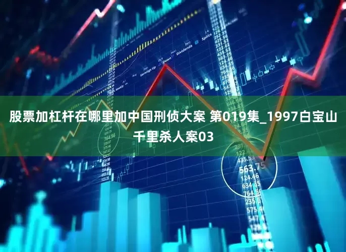 股票加杠杆在哪里加中国刑侦大案 第019集_1997白宝山千里杀人案03