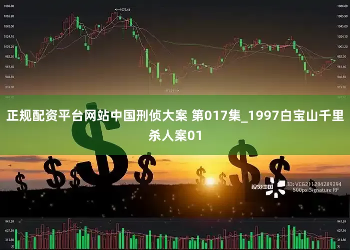正规配资平台网站中国刑侦大案 第017集_1997白宝山千里杀人案01