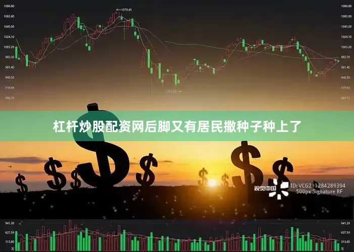 杠杆炒股配资网后脚又有居民撒种子种上了
